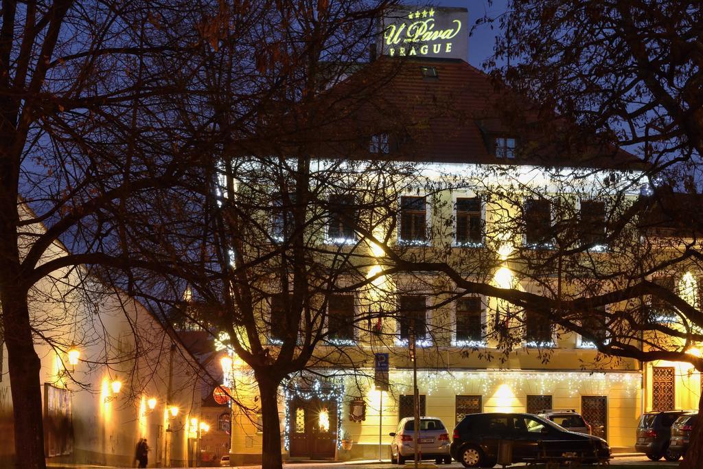 U Pava Hotel Prag Eksteriør billede
